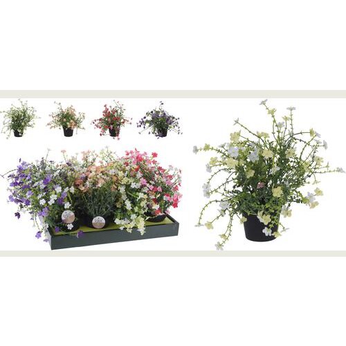  CVIJEĆE 28CM SORTO Cijene