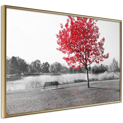  Poster - Autumn Colours I 30x20 Cijene