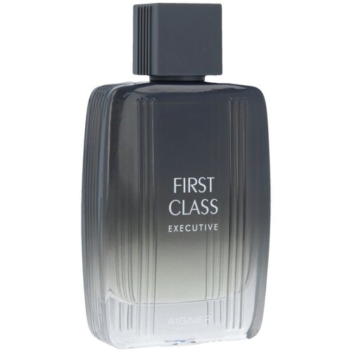 Aigner Etienne First Class Executive Eau De Toilette 100 ml (man) Slike