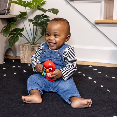 BABY EINSTEIN Roxy&amp;#039;s Bright Flight&amp;trade; glasbena igrača 3m 1 kos Slike