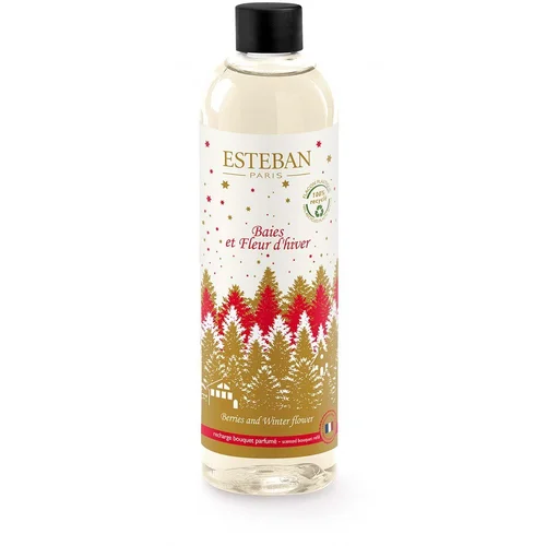 Esteban Dopuna difuzora Berries and Winter Flower 250 ml