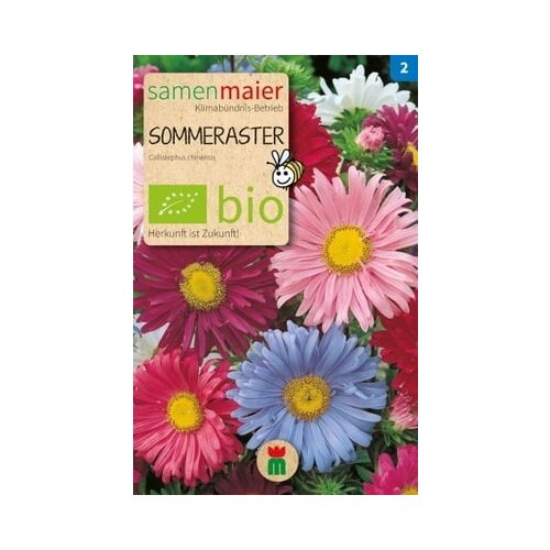 Samen Maier BIO poletna astra Cene