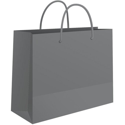  VREĆICE UKRASNE 24X16X7CM SJAJNA PLASTIFIKACIJA FORNAX SREBRNE Cijene