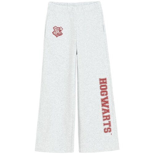 Cool club hlače trenirka DH LCG3122395 WARNER BROS D siva 134 Cene