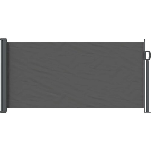  Retraktabilna bočna tende Antracit 300 x 100 cm Poliester Cijene
