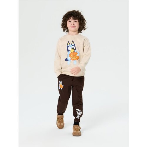Sinsay Jogger hlače Bluey Cijene