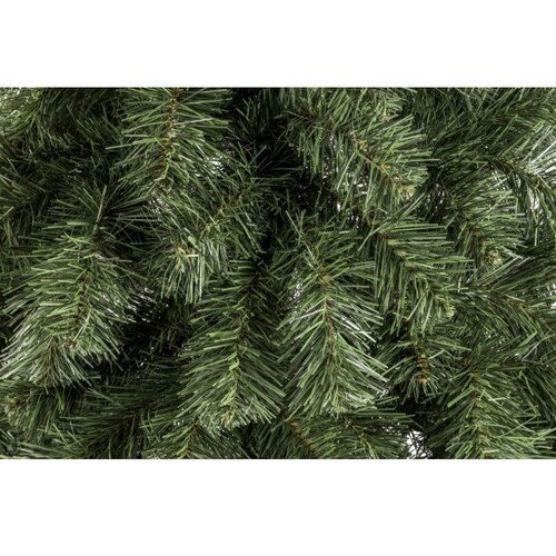  Božićna jelka NATURAL 150 cm od jele na panju Slike