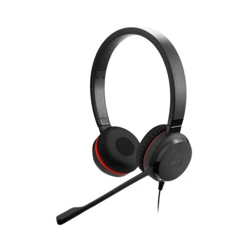 Jabra Evolve 20 SE, Stereo MS, USB C/A adapter, Leather Cene