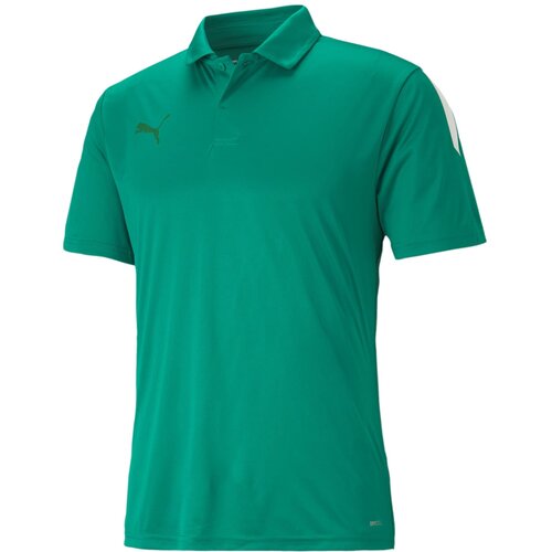 Puma Funkcionalna majica 'TeamLiga' travnato zelena / temno zelena / bela Cene