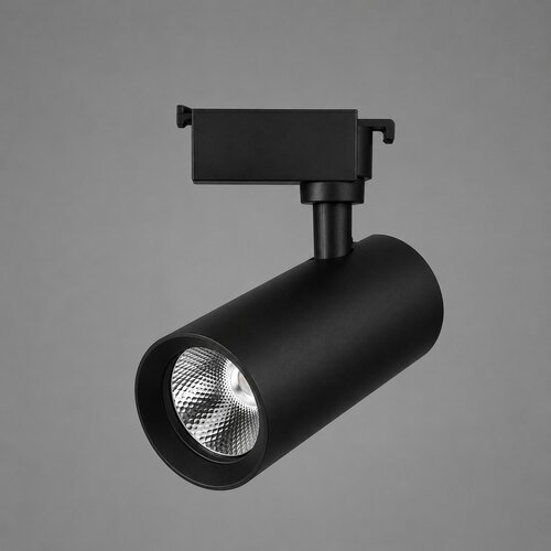  &amp;Scaron;inski LED reflektor, 30 W, crni Slike