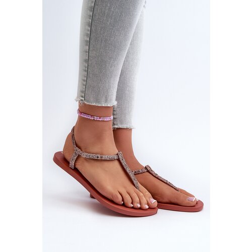 Ipanema Women&amp;#039;s Flip Flops with Brocade Slike