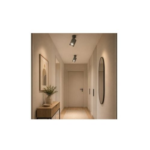 HOME LIGHT Talia 107 Spot lampa siva Slike
