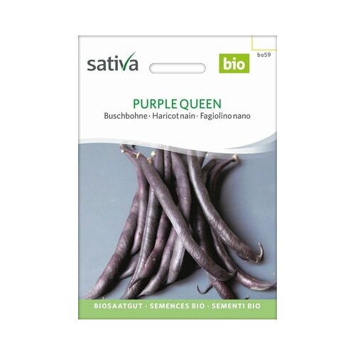 Sativa Grmičasti fižol Purple Queen Cene