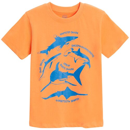 Cool club majica KR CCB3010988 F oranžna 122 Slike