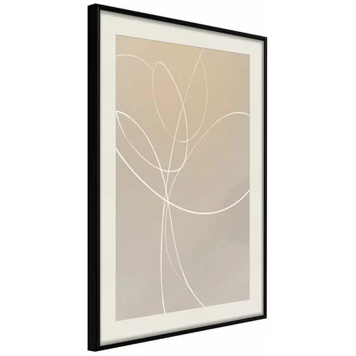  Poster - White Tulip 40x60