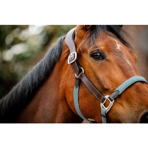  Oglavka Signature Braided "Brown, Navy & Blue Haze" - Full Cene