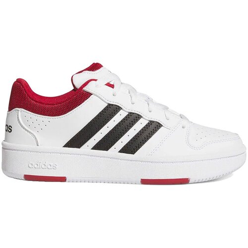 Adidas Nizke superge Baskets Hoops Classic synth&amp;eacute;tique Bela Slike