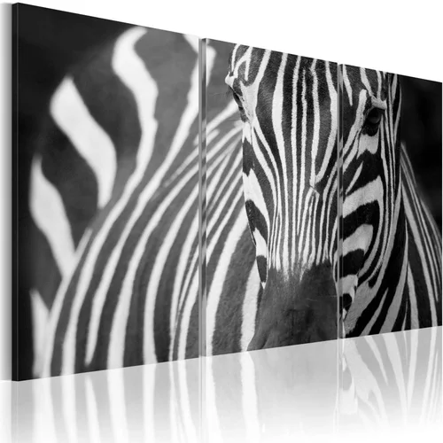  Slika - Mrs. Zebra 60x40