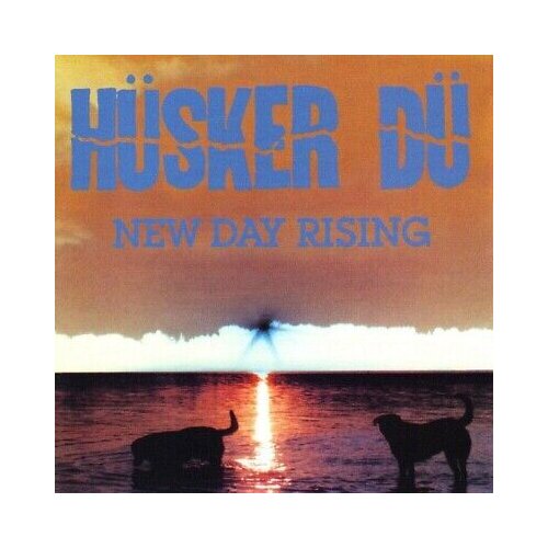 Husker Du New Day Rising Cene