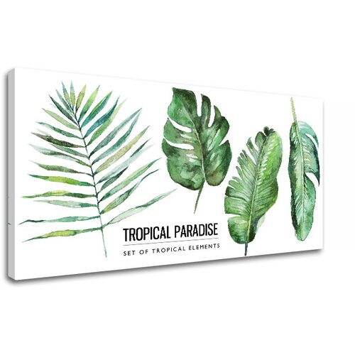  Slike na platnu z besedilom tropical paradise (moderne slike z) Cijene