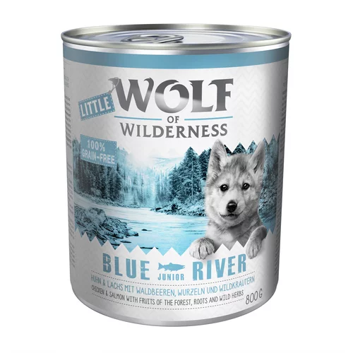 Wolf of Wilderness Varčno pakiranje Little Junior 24 x 800 g - Blue River - piščanec & losos