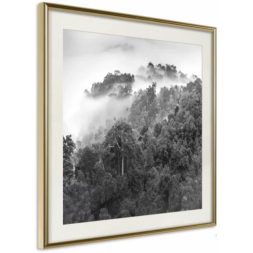  Poster - Foggy Forest 30x30