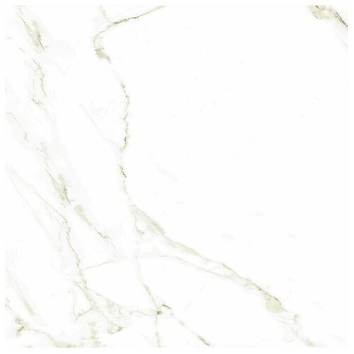 Halcón Talne ploščice Naos Gold Mate Satinado (60,5 x 60,5 cm, Bela, Mat) Cene