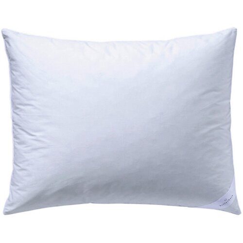 Billerbeck VZGLAVNIK S03 Sale 60/80 cm Cene