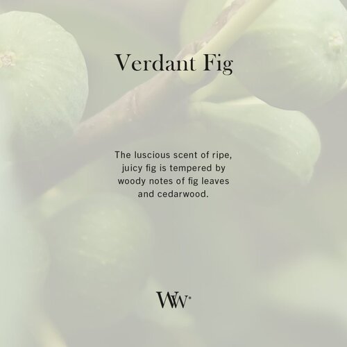 WoodWick Verdant Fig di&amp;scaron;eča sveča z lesenim stenjem 275 g Slike