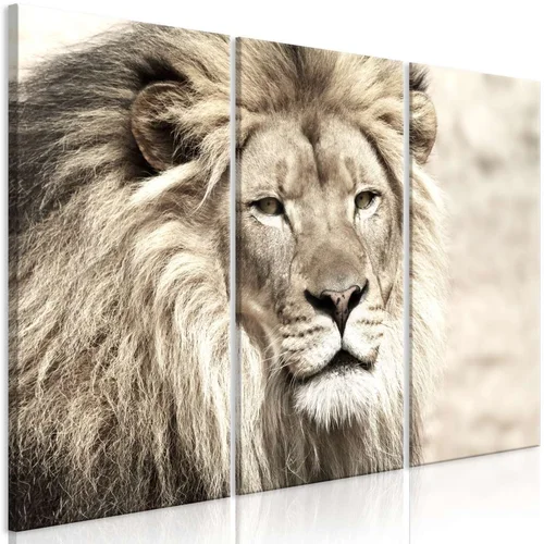  Slika - The King of Beasts (3 Parts) Beige 90x60