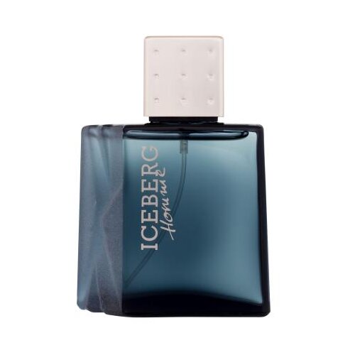 Iceberg Homme 50 ml toaletna voda za mo&amp;scaron;ke Slike