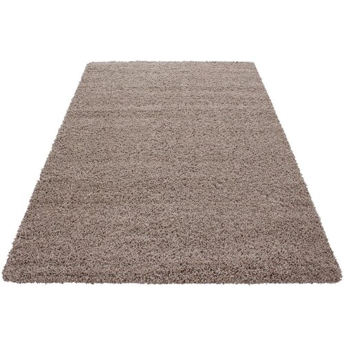 Novel preproga z visokim florom life 1500 200/290 cm tkano rjava, bež Cene