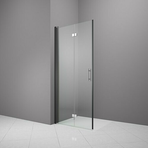 CAMARGUE Vario Sklopiva vrata za tuširanje B54 (100 x 195 cm, Premazano, Debljina: 6 mm, Crne boje) Cijene
