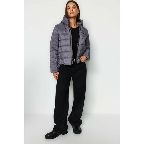 Trendyol Winter Jacket - Gray - Puffer Cene