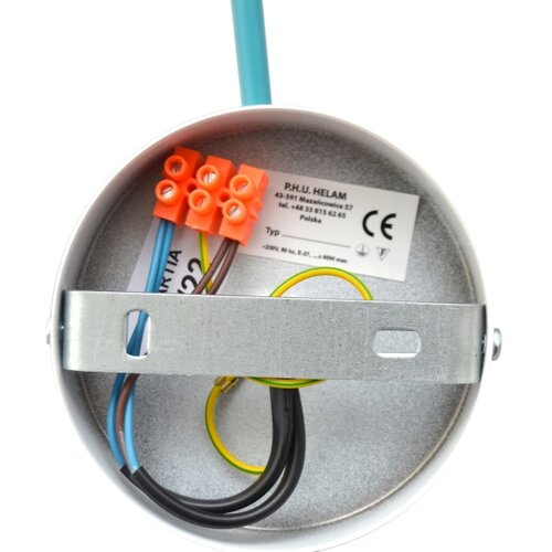  Plafonski luster CAMBRIDGE 2xE27/15W/230V plavi Slike