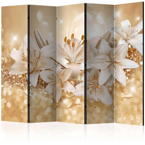  Paravan u 5 dijelova - Royal Entourage II [Room Dividers] 225x172 Cijene