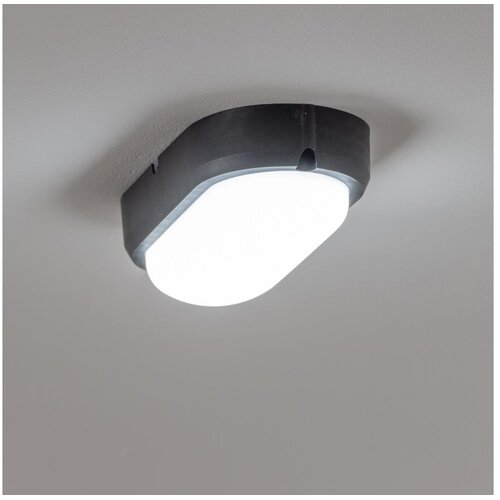 Brilagi LED industrijska stropna svetiljka SIMA LED/12W/230V IP65 crna Slike