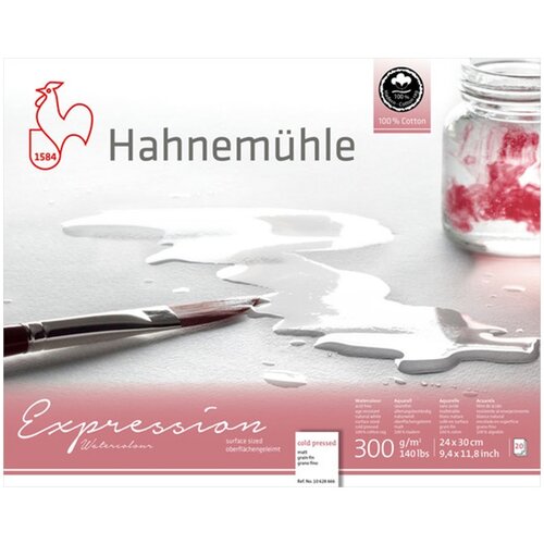 Hahnemuhle Ekpression Vatercolor Papir | 24x30 cm Slike