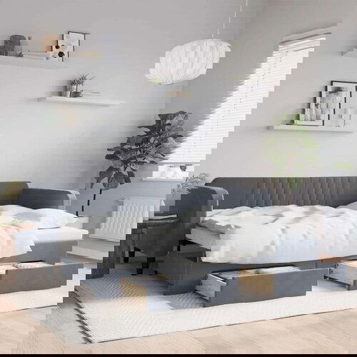 VidaXL Izvlečna dnevna postelja s predali temno siva 90x200 cm žamet Slike