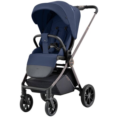 Carrello otro&amp;scaron;ki voziček ultra CRL-6525 2in1 morning blue Slike