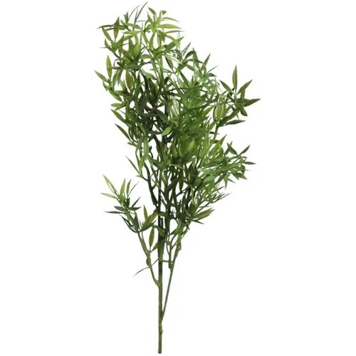  Rezano cvijeće grana zelenila 75 cm Cijene