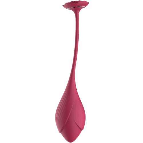 RayTech Rose - bežično, radio vibrirajuće jaje (crveno) Slike