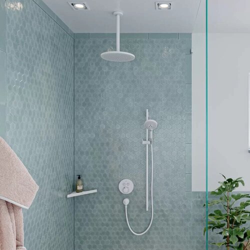 Hansgrohe croma tuš ruža 280 1 jet 26220700 Cene