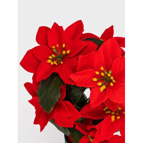 Sinsay DECORATIVE PLANT Slike