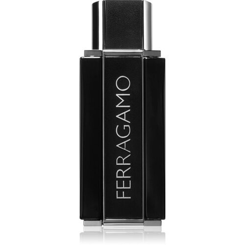 Ferragamo za mu&amp;scaron;karce Salvatore Ferragamo FERRAGAMO SUBLIME LEATHER EDP 100 ml Slike