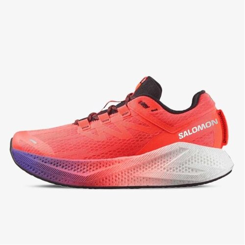 Salomon Aero glide 3 gradient Cene