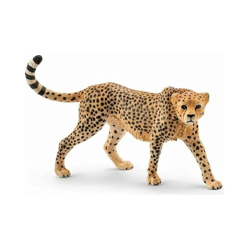 Wild Life Cheetah Cijene