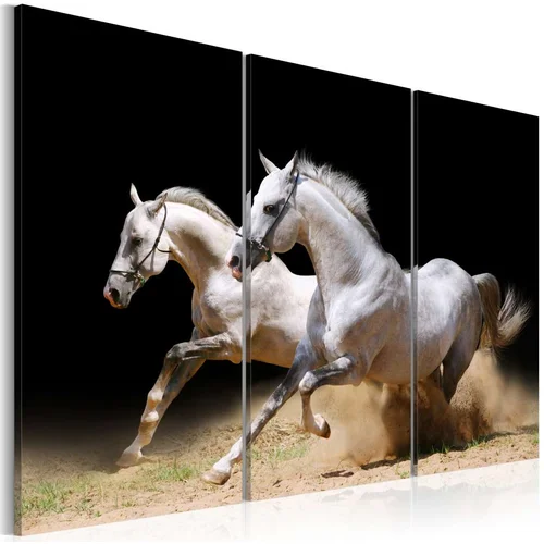  Slika - Horses- power and velocity 60x40