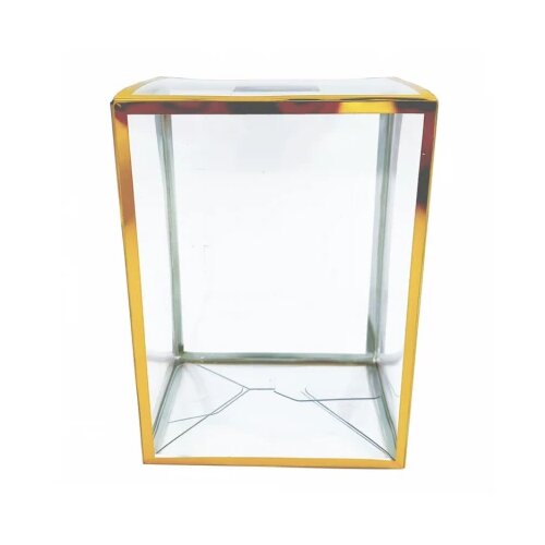 Spawn Clear Gold Version 4'' Pop Protector With Film On It With Soft Crease Line And Automatic Bot Lock Cene