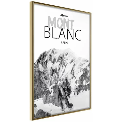  Poster - Peaks of the World: Mont Blanc 20x30